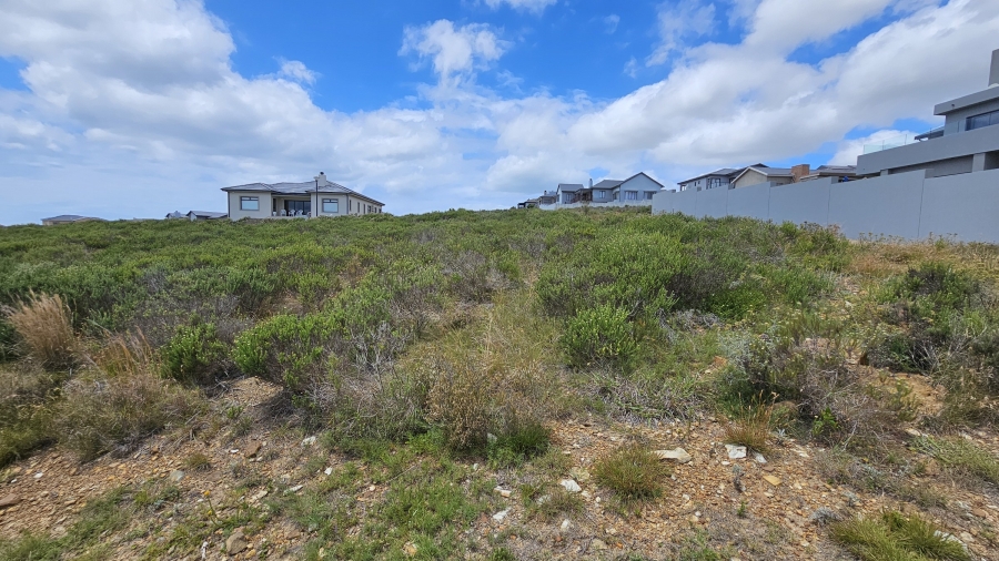 0 Bedroom Property for Sale in Blue Waters Estate Eastern Cape